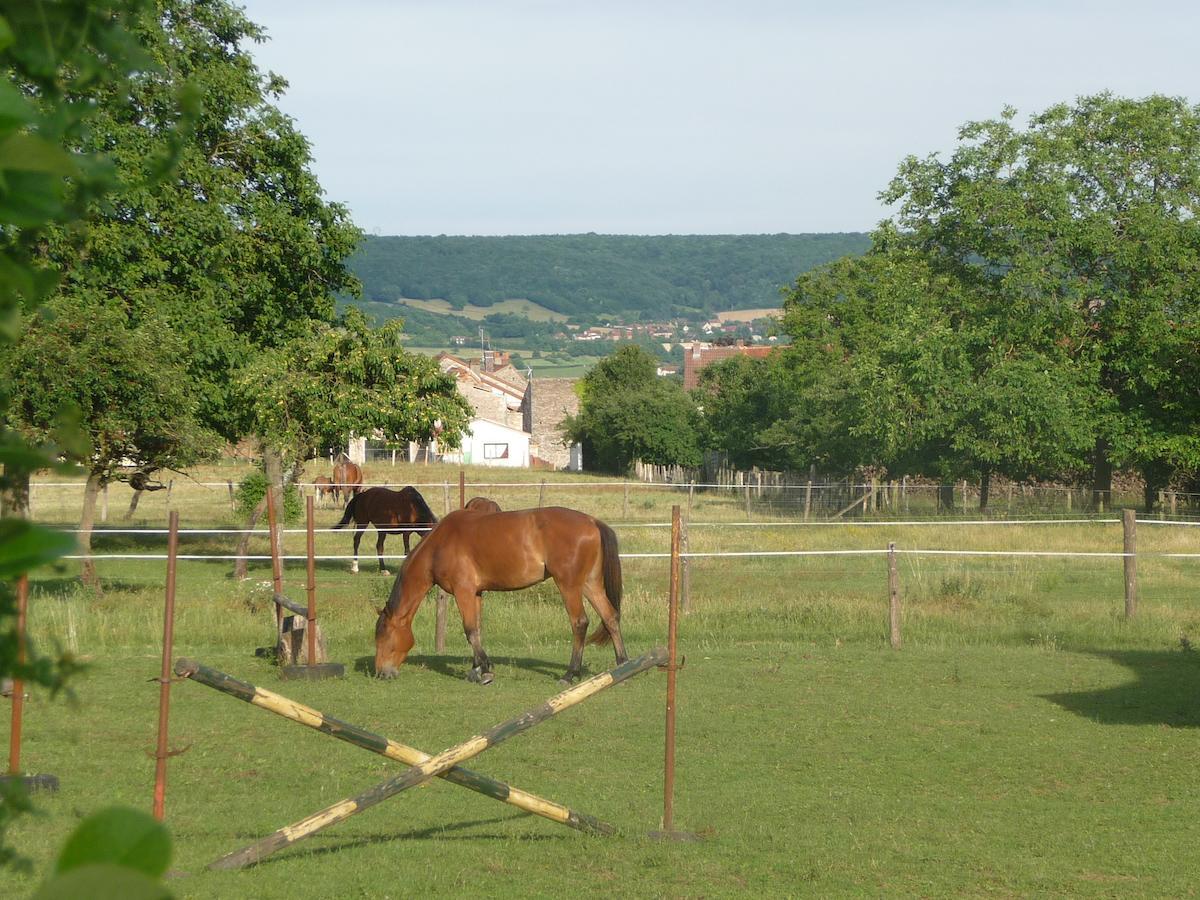 Bed and Breakfast Le Chateau Champagny-sous-Uxelles Экстерьер фото